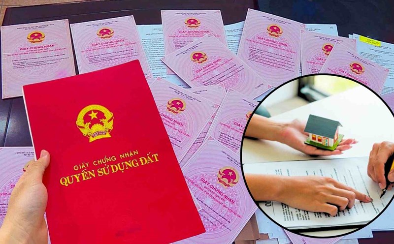 Làm Giấy Tờ Nhà Đất | Dịch Vụ Nhà Đất Uy Tín Tại Lâm Đồng – Nhanh Chóng, Chuẩn Pháp Lý