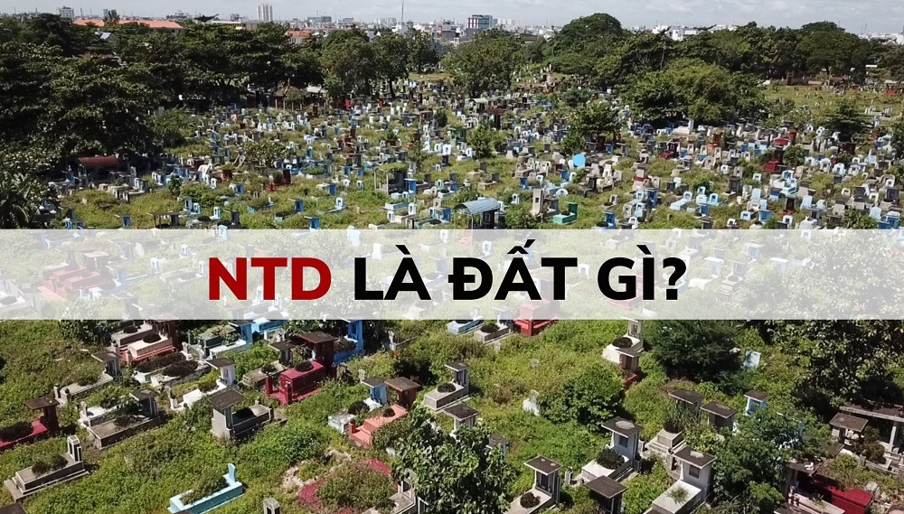 NTD là đất gì