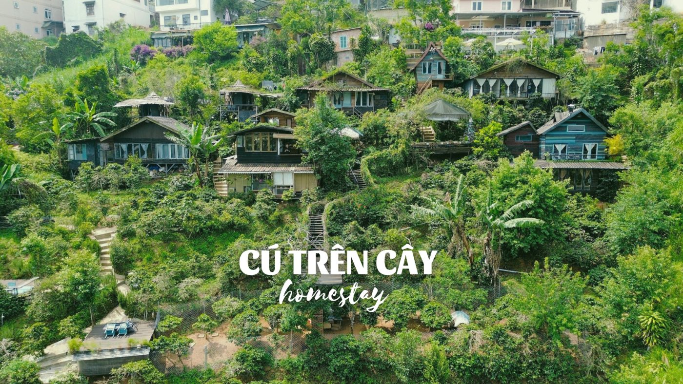 Cú Trên Cây Homestay Đà Lạt