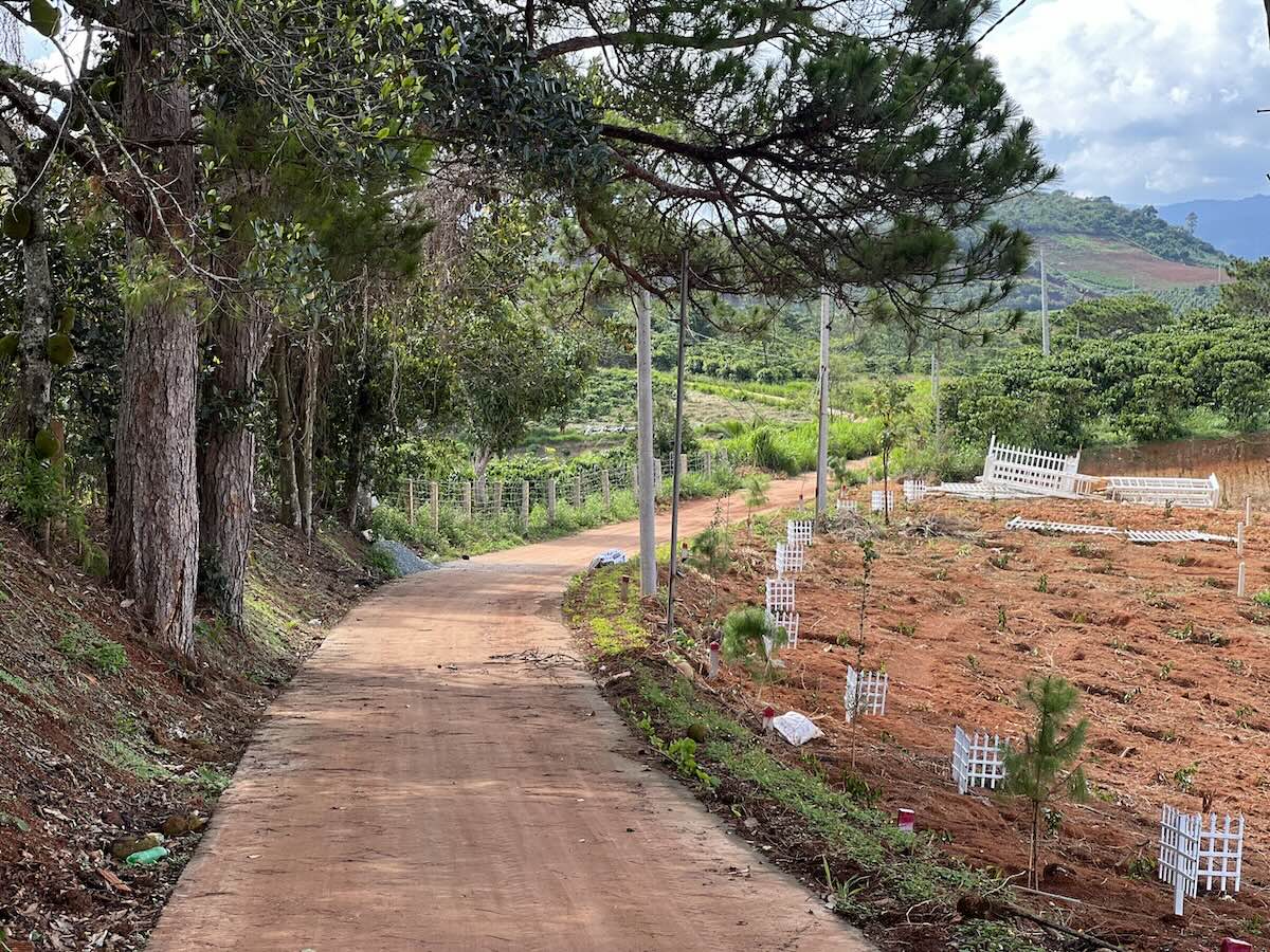 Bất động sản Lâm Hà 