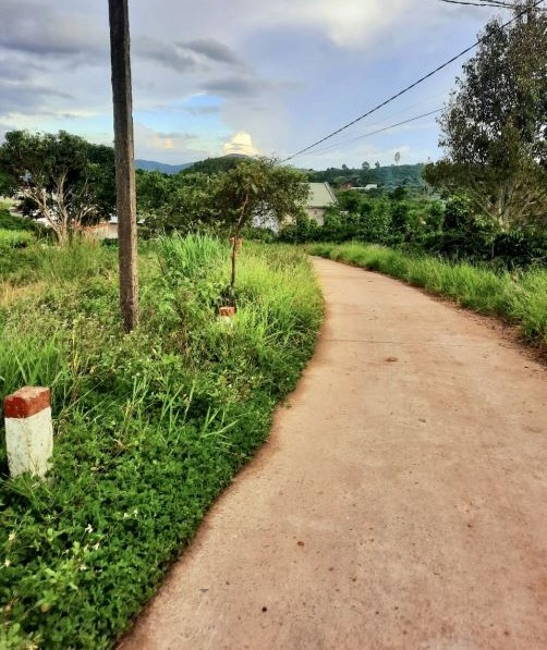 2 341m2 view rung thong  300m2 ont  ngang 80m mat tien be tong rong ngay kdc   2 25 ty