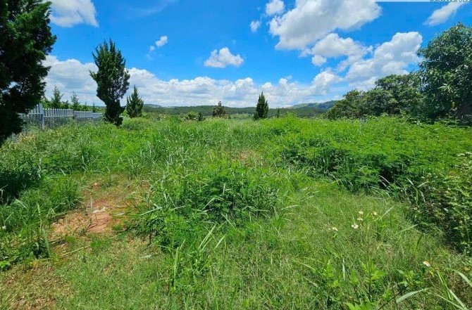 ban lo dat thich hop xay biet thu tai ta nung thanh pho da lat