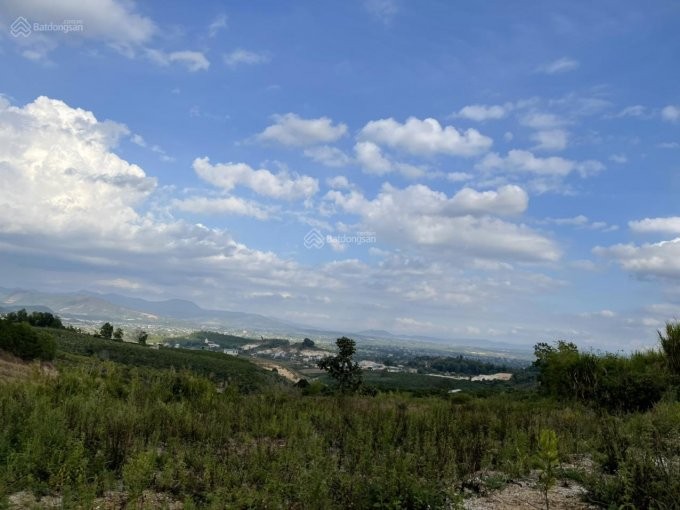 ban 512m2 mat tien duong 7m thon hoan kiem 2 nam ha da lat 2
