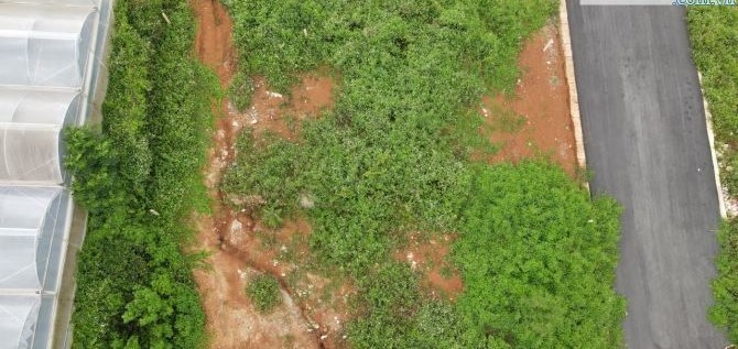 ban dat xa ta nung thanh pho da lat tinh lam dong