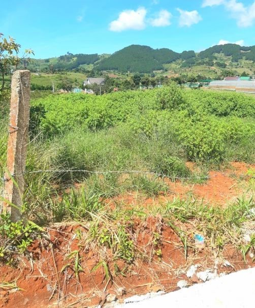 ban dat ngop view dep duong lon khu dan cu ta nung so rieng 1190m tho cu