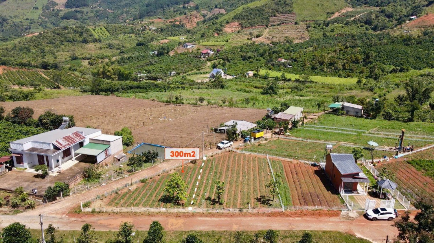 ngam hoang hon va san may cuc chill o khu nghi duong dong thanh view tuong phat va doi thong