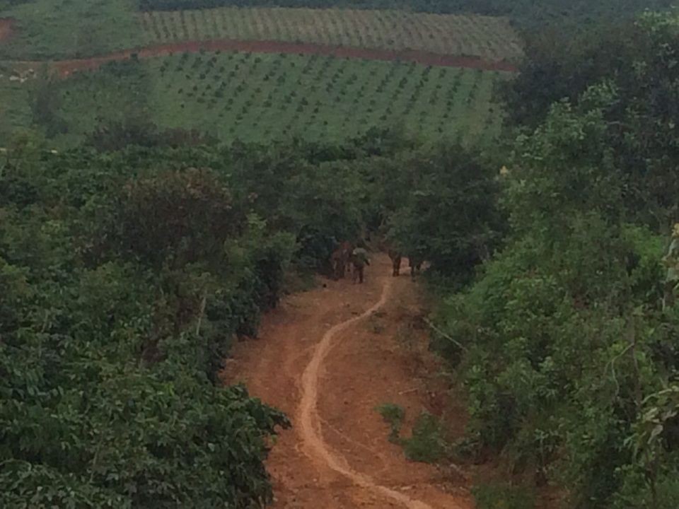 can ban 3ha thuc te 35ha xa bao thuan di linh lam dong