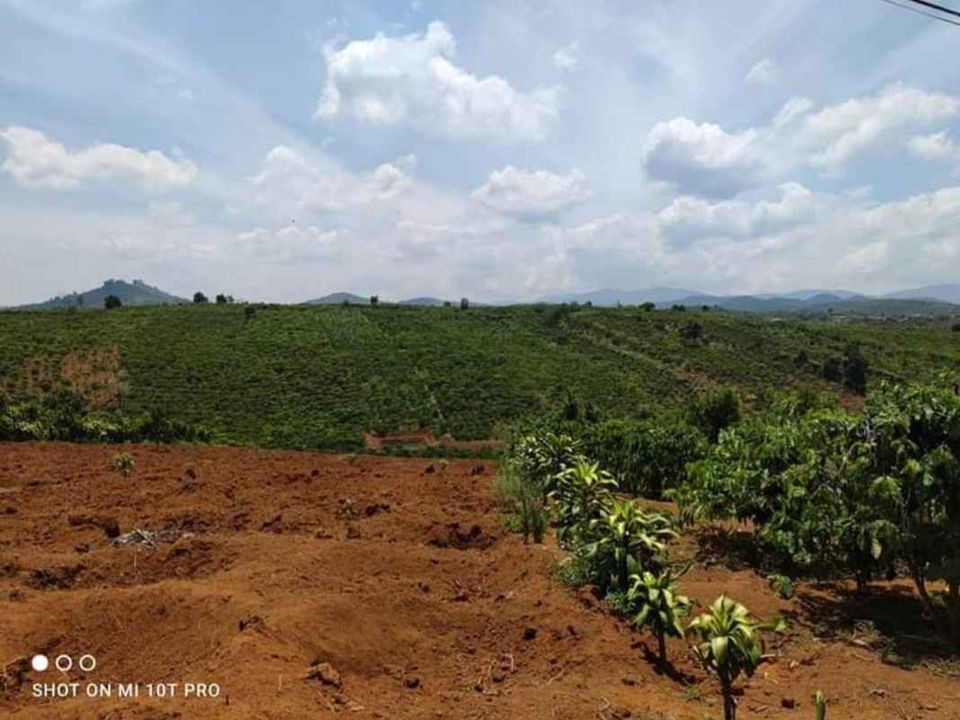 can ban lo dat dep dt 8 000m2 tai xa hoa ninh   di linh