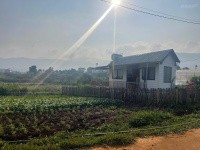 ban dat dep tai dong thanh lam ha lam dong 599 trieu 108m2