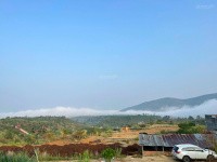 ban 2 lo dat f0 cuoi cung   dong thanh lam ha   6x20m   78m2 tho cu   599tr   so hong rieng