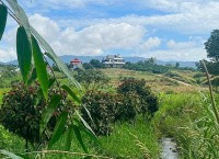 hot  590 trieu co 155 m2 mat tien 7 5m tai dong thanh ven da lat voi view tuong me chua linh an