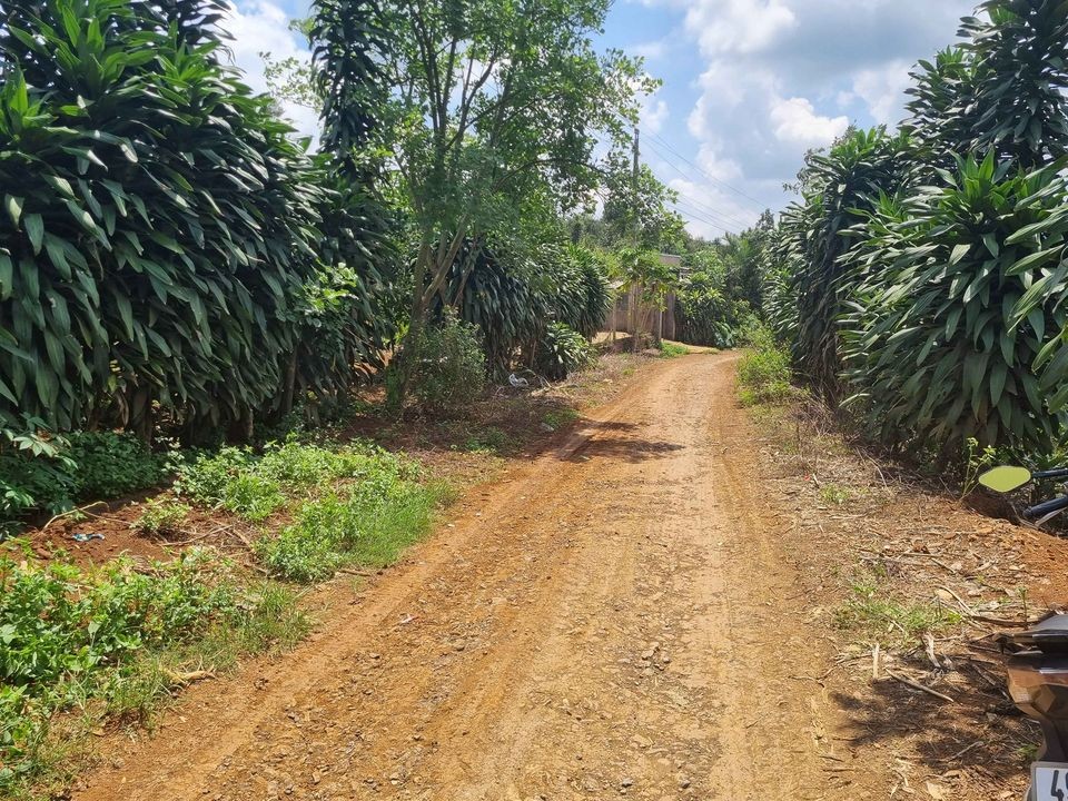 ban 1200m2 dat view doi dep o thon 7 xa hoa trunghuyen di linhlam dong