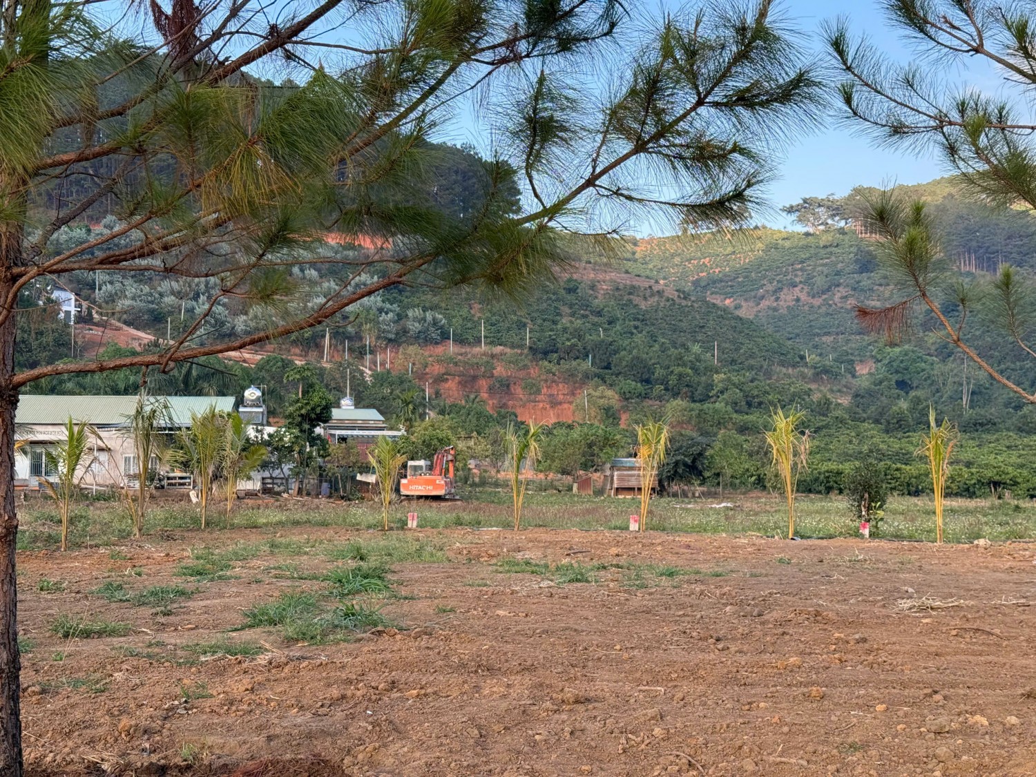 manh dat view doi thong cuc chill cach da lat hon 2km ngay khu nghi duong