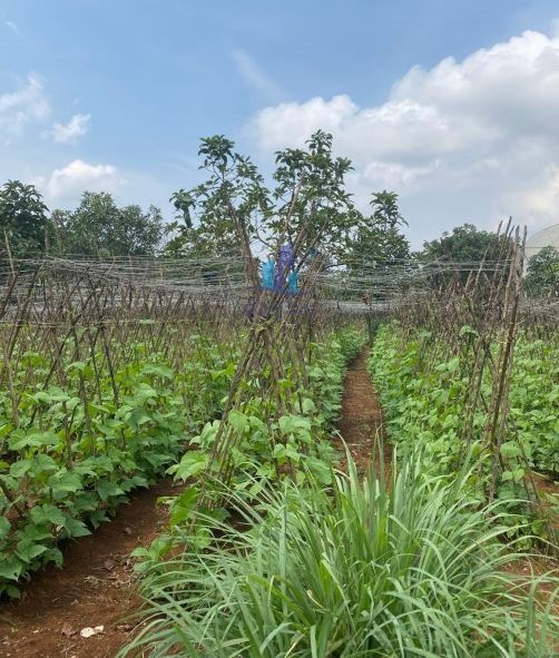 ban dat mat tien duong tinh lo 725 xa ta nung da lat 559m2