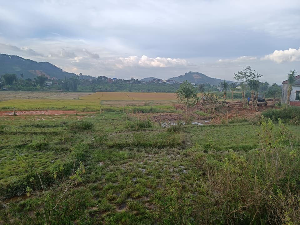 ban lo dat dep gia 4 ty 8 tai xa bao thuan h  di linh lam dong
