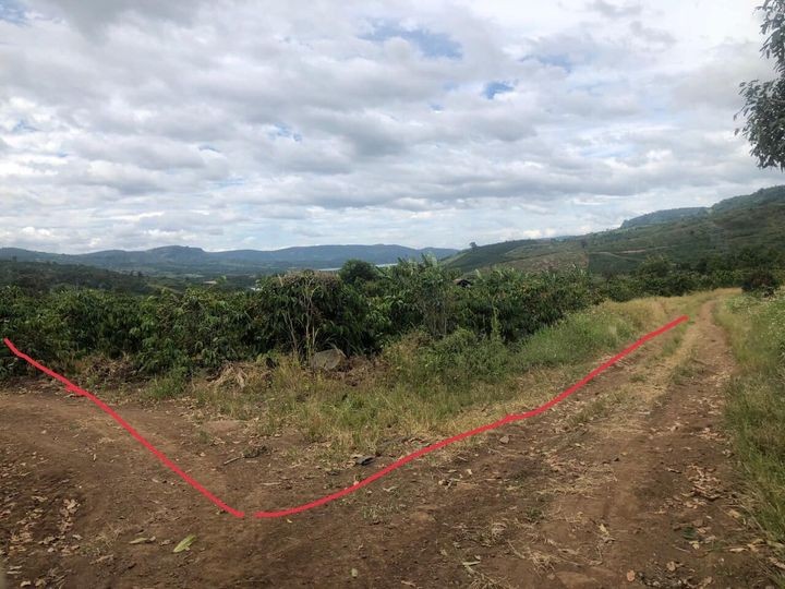 can ban lo dat dep dien tich 6 000m2 tai vi tri dac dia xa dinh lac huyen di linhtinh lam dong