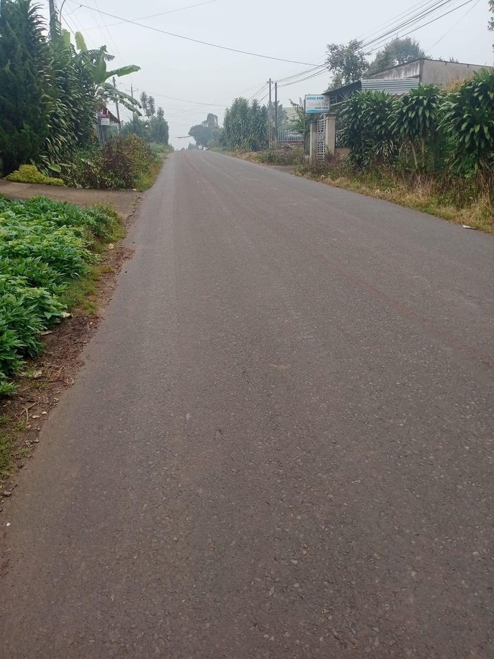 ban nhanh mot lo dat mat tien duong nhua lien xa truc duong chinh hoa bac