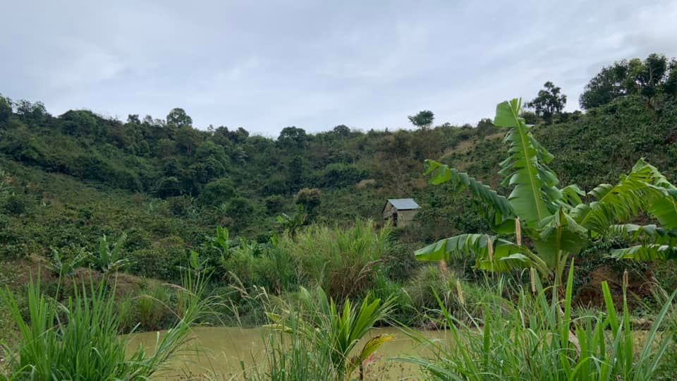 ban nhanh 1ha dat vuon f0 tailien dam di linh lam dong