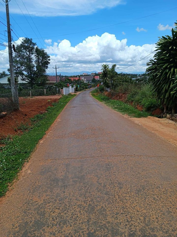 ban nhanh lo dat ngay trung tam xa dinh lac gia ban   250 m