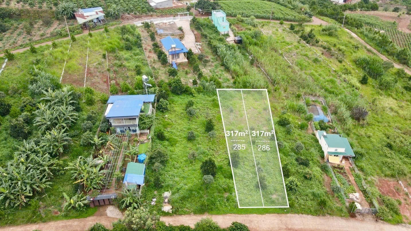 chu thanh ly 2 lo f0 no hau 317m2 view doi khu nghi duong gia chi 550 trieu