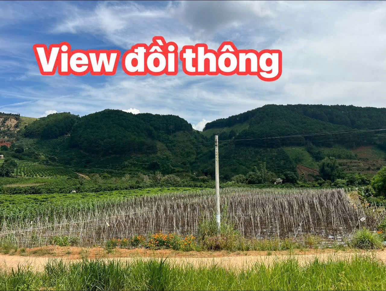 xa hang ?thanh ly lo dat ngang 8 4m cach nhua 2km gia chi 420 trieu