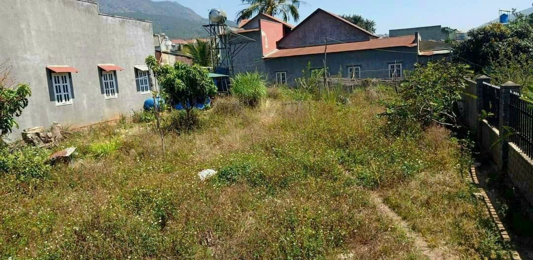 ban dat phinom dien tich 153m tai xa hiep thanh duc trong