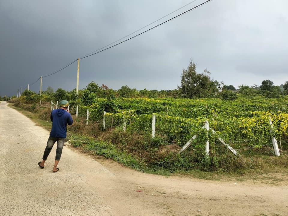 can ban dat 2 mat tien tai xa hoa bac h  di linh lam dong