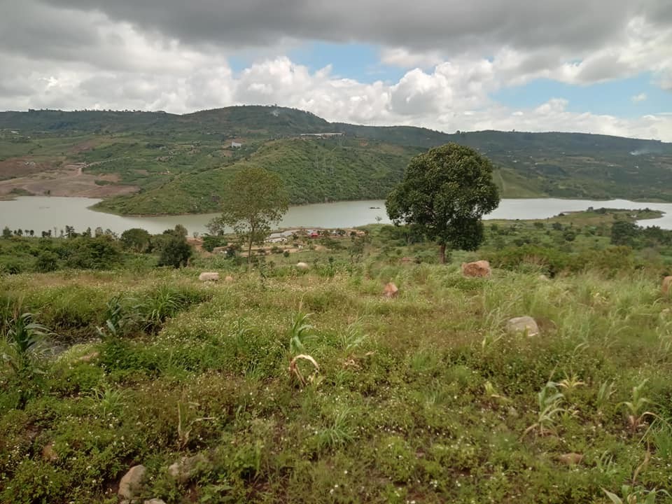 ban dat duong minet xa dinh lac di linh tong dien tich 7393m