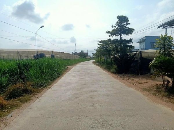 can ban lo dat toan bo nha kinh 8500m2  85sao  tai xa ka don huyen don duong