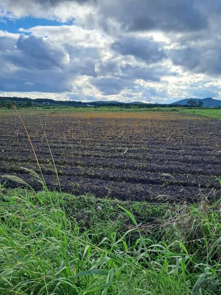 ban lo dat dien tich 7534 m2 tai xa tu tra h  don duong lam dong