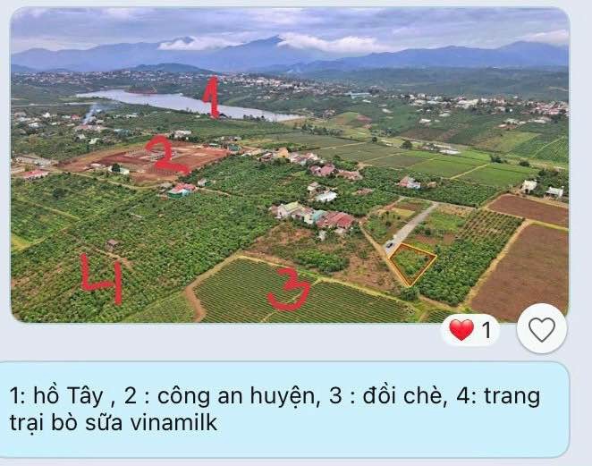 chu ngop can ban lo dat 2 mat tien hien trang duong nhua tai thi tran di linh
