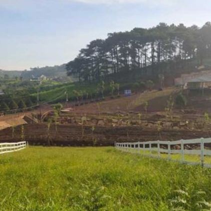 3ha dat cafe nong nghiep mat tien duong  tai xa tien hoang huyen da huoai tinh lam dong gia chi 950tr