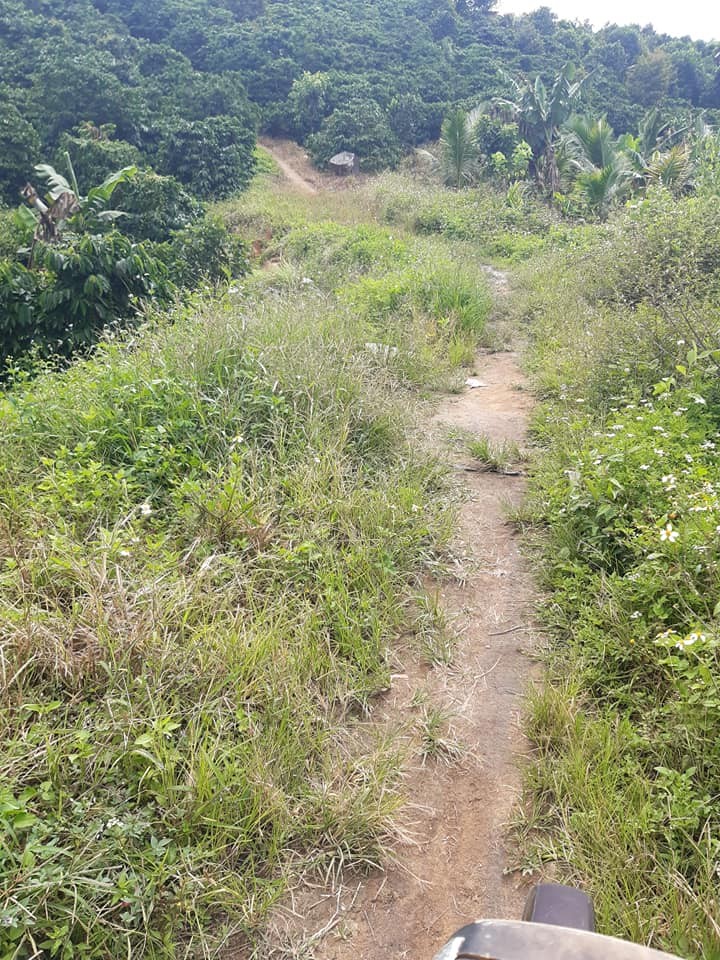 ban nhanh manh dat 13ha tai xa hoa nam h  di linh lam dong