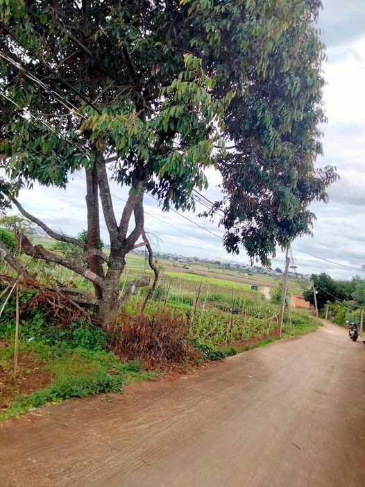 ban nhanh lo dat so san tho cu tai xa tu tra huyen don duong