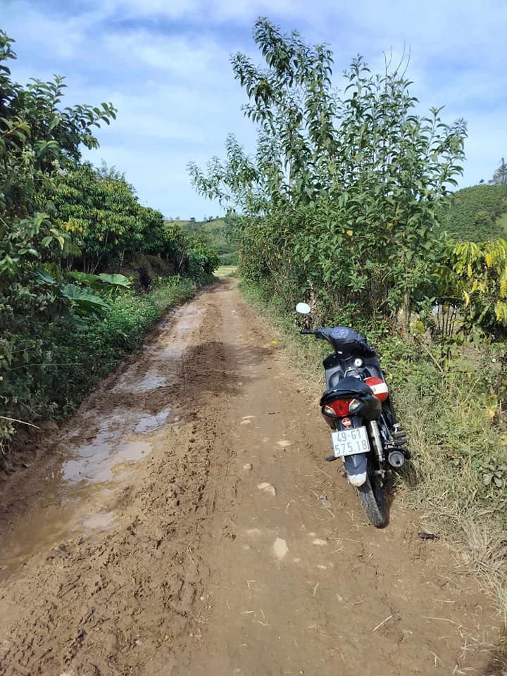 can ban nhanh 67sao so do vuong vuc vuon caphe tot dang cho thu manh xa dinh trang hoa h  di linh lam dong