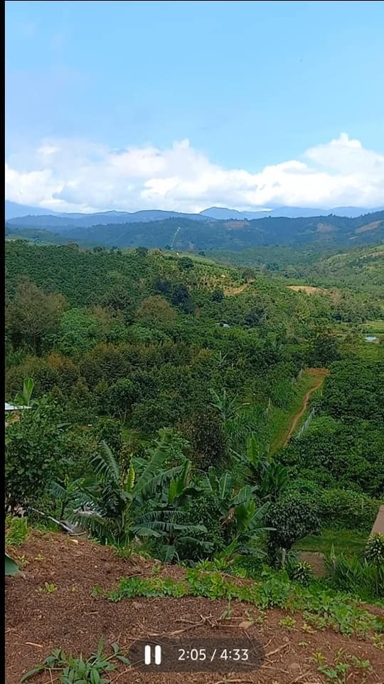 ket tien ban lo dat dien tich 3696m2 tai xa lien dam huyen di linh tinh lam dong