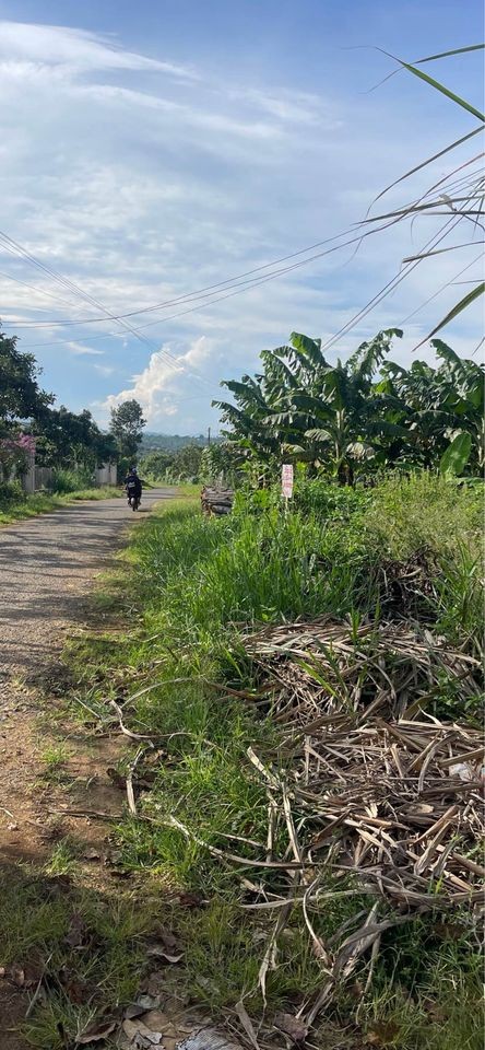 can ban gap lo dat ngay sat trung tam xa hoa  trung huyen di linh