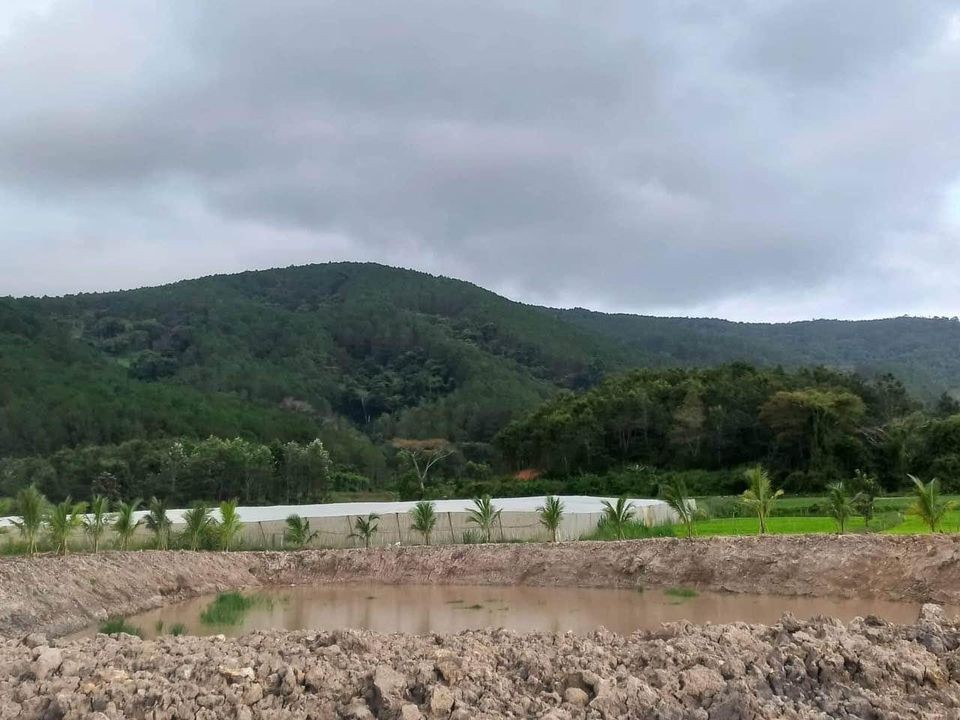 can ban 6 xao dat tai xa lac xuan don duong lam dong