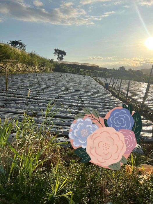 ban gan 5 sao dat san xuat nong nghiep tai xa quang lap   don duong  lam dong