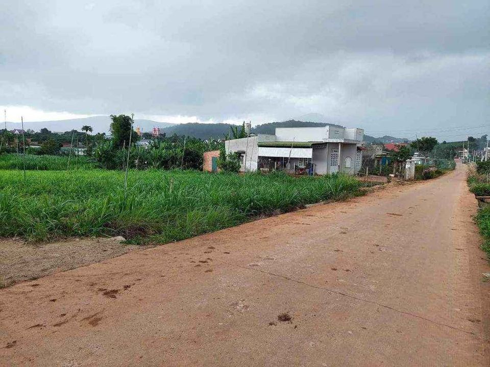 can ban lo dat tai xa pro  huyen don duong lam dong gia cuc re cho quy khach hang dau tu