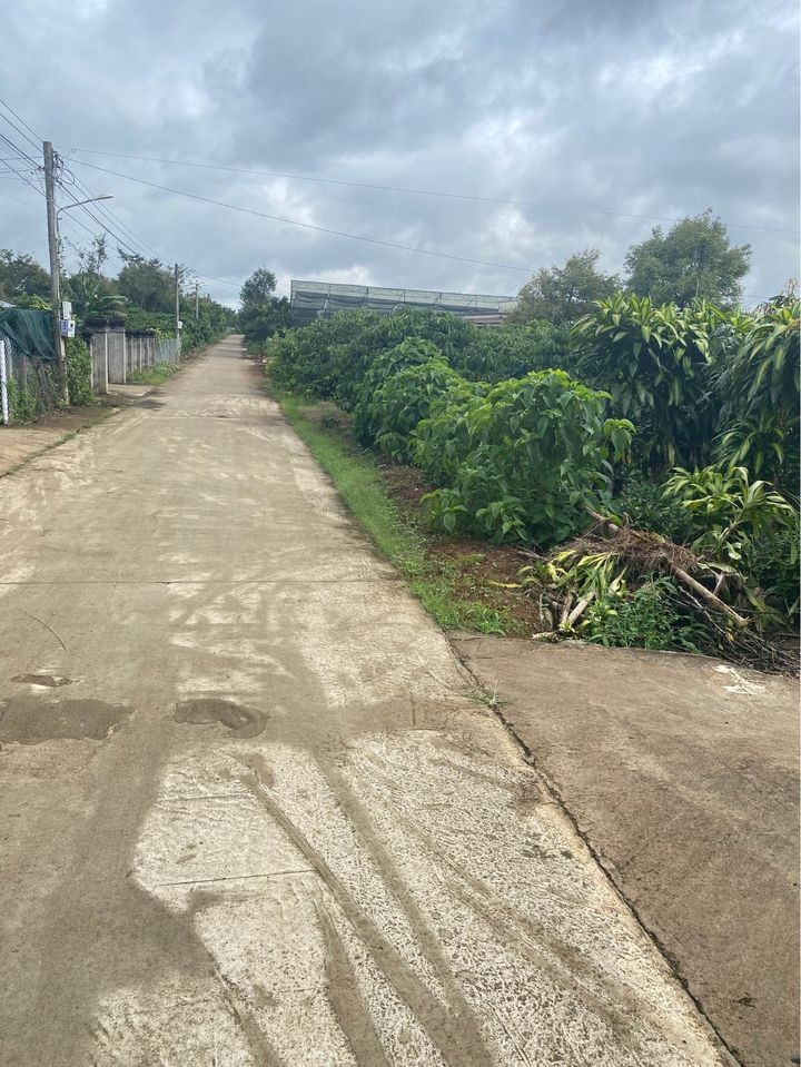 ban dat xa hoa ninh giap tan lac  cach duong au co khoang 300 m duong be tong rong 6 m