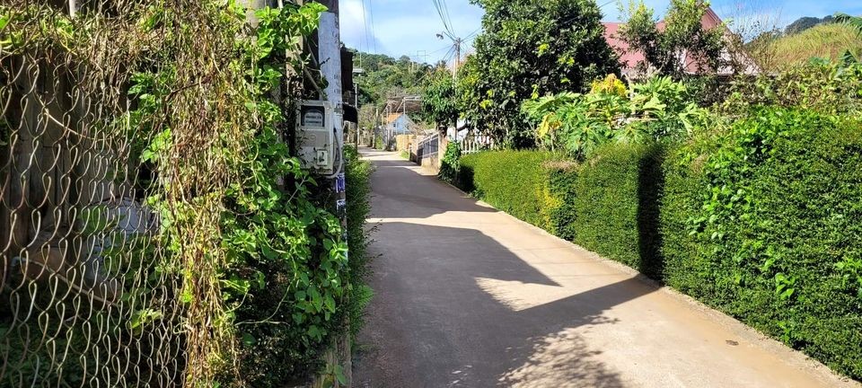 can ban gap dat ngay trung tam thi tran d  8217 ran dien tich 2800 m2 co 100m2 dat odt