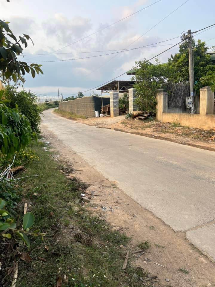ban dat mat duong be tong lien xa 15m tai xa quang lap h  don duong lam dong