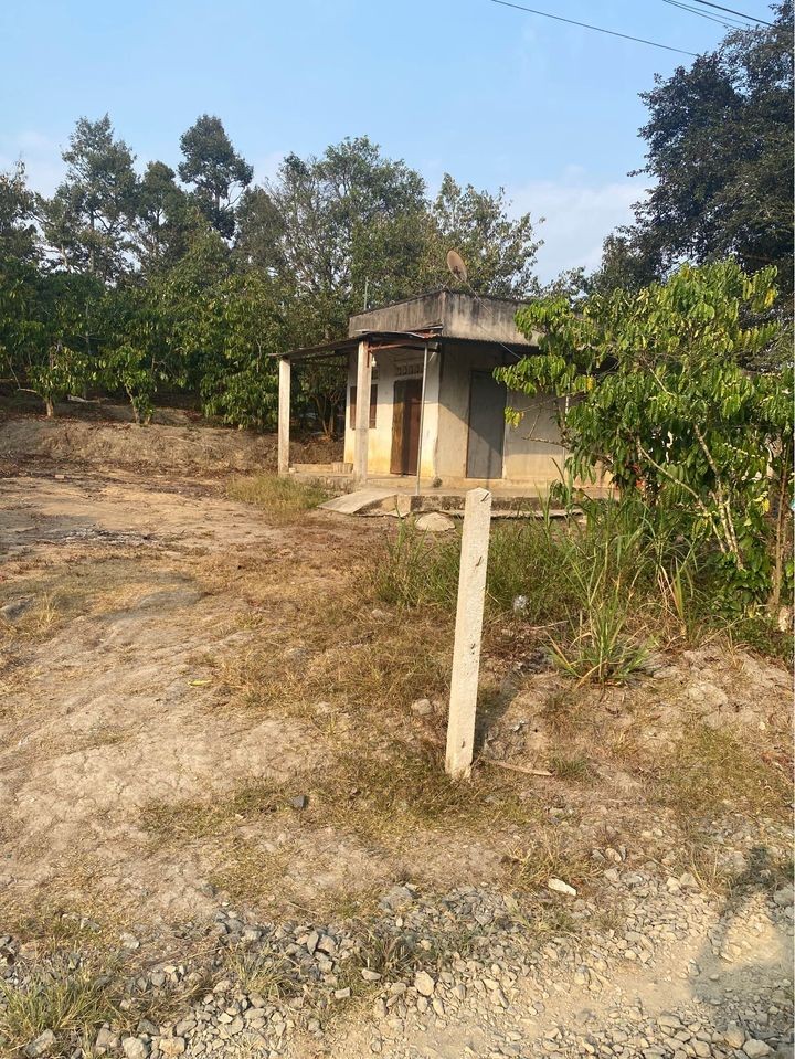 can ban 84 sao  hon 100 m mat tien duong da rong 5m tai xa hoa nam h  di linh lam dong
