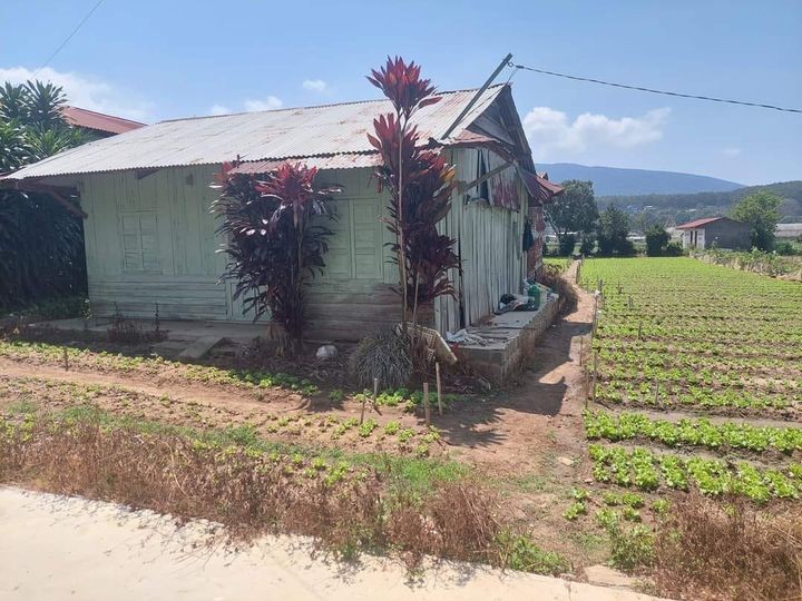 chi 75 trieu mot met dat  vung ven da lat 30km thuoc xa lac xuan huyen don duong lam dong