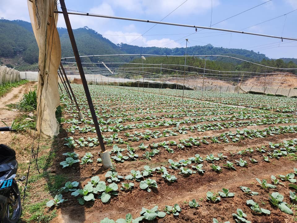 chi  450 trieu  mot  sao  dat vung ven da lat 30km thuoc thon tan hien xa lac xuan huyen don duong lam dong