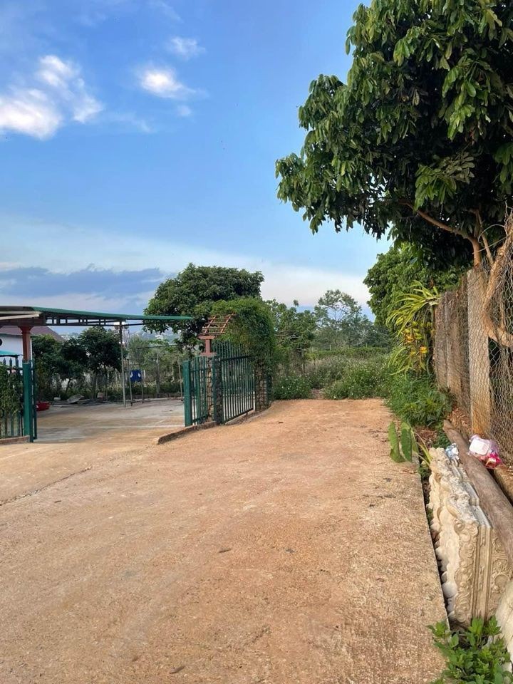 can ban nhanh lo dat tai quoc lo 28 duong ly thuong kiet thi tran di linh