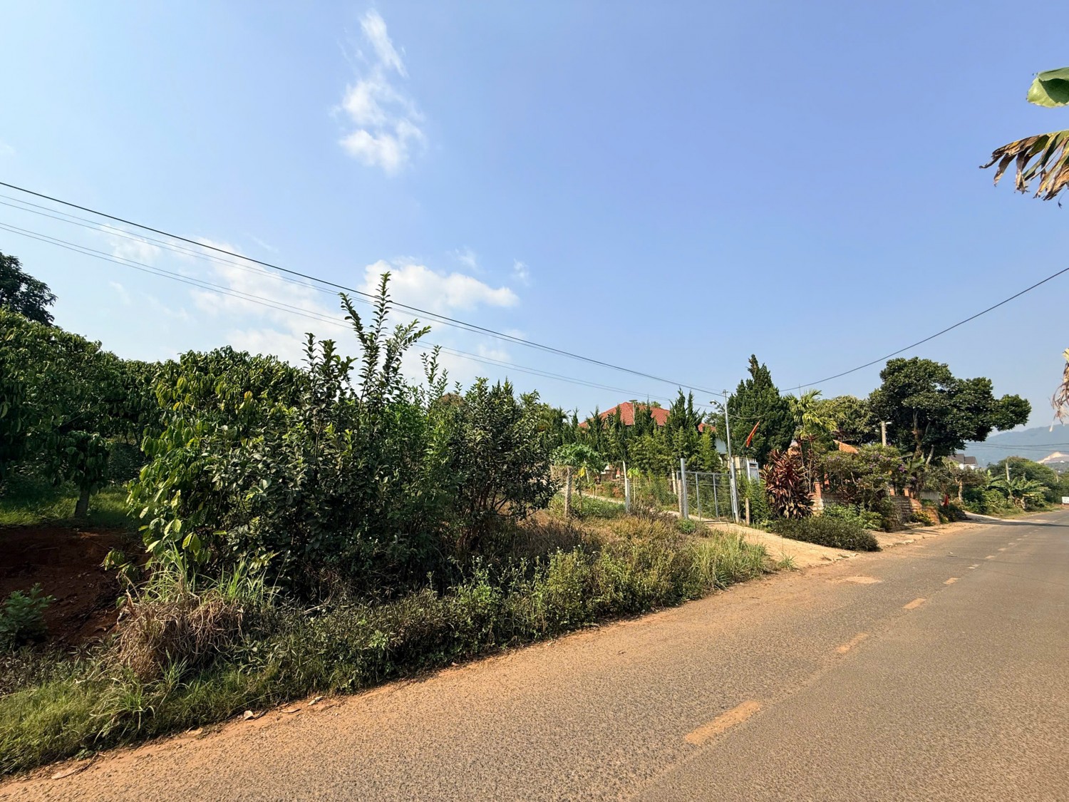 1053m ? dat mat tien duong nhua dong thanh san vuon cafe tren dat can ban gap