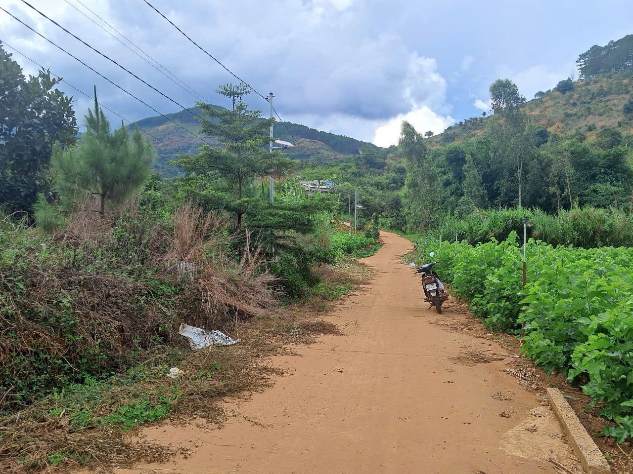 manh dat view dep gia re o khu dan cu dong anh 3 nam ban view doi thong xanh muot