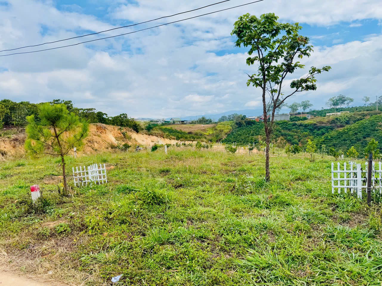 manh dat nam canh duong nhua view doi thong va san may